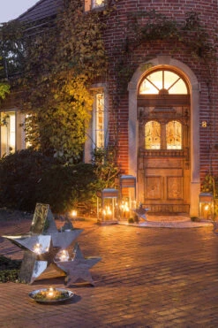 Fink Living Reva Stern H 49cm 5 Fink Living Reva Stern H 49cm -Fink 141327 2