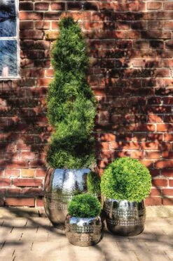 Fink Living Übertopf CARUS I 7 Fink Living Übertopf CARUS I -Fink 157132 3