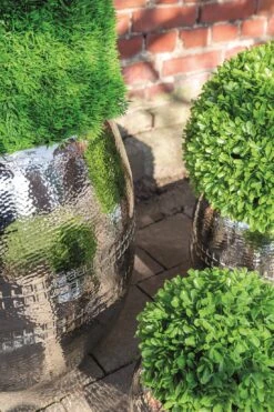 Fink Living Übertopf CARUS III -Fink 157134 2