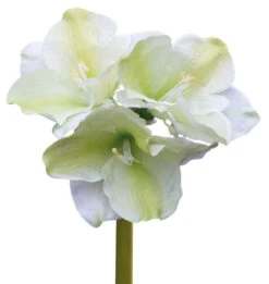 Fink Living Amaryllis Estelle