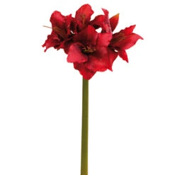 Fink Living Amaryllis Jewel