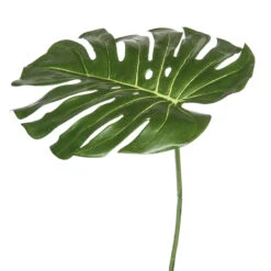 Fink Living Blatt Philondenron