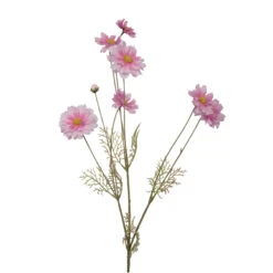 Fink Living Blütenzweig Cosmos