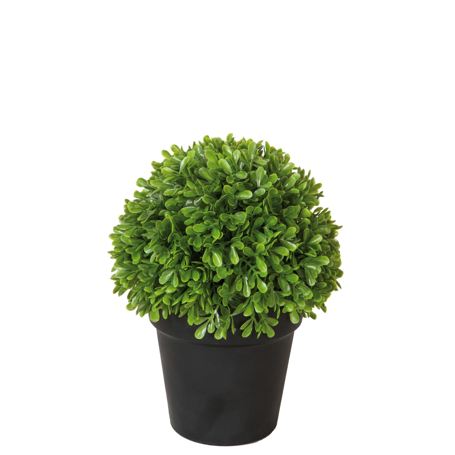 Fink Living Buchskugel Im Topf Buxus I 1 Fink Living Buchskugel Im Topf Buxus I