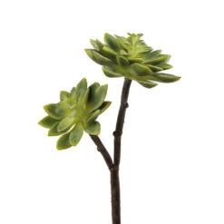 Fink Living ECHEVERIE