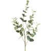 Fink Living Eucalyptuszweig