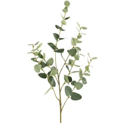 Fink Living Eucalyptuszweig