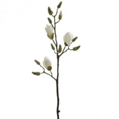 Fink Living Magnolienzweig