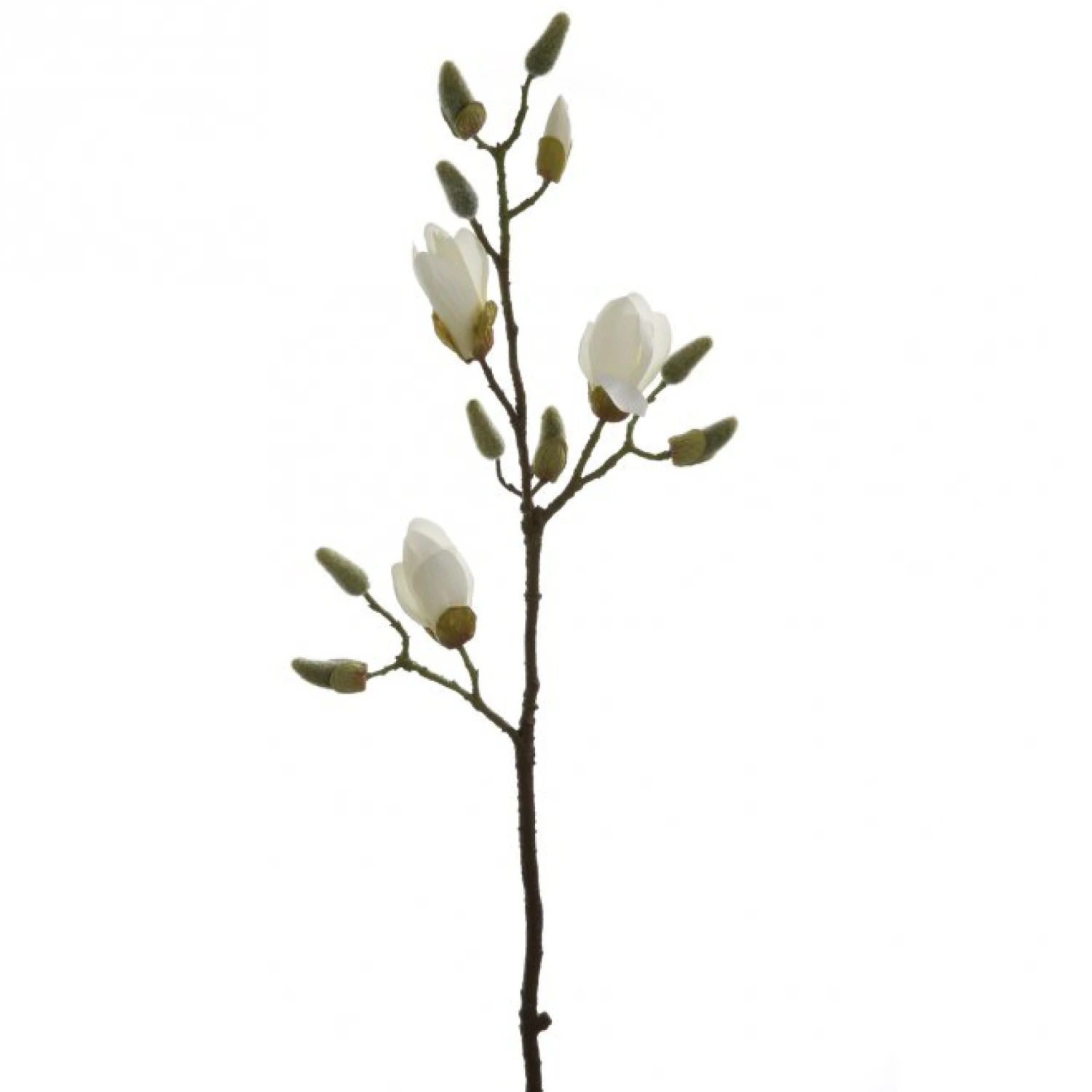 Fink Living Magnolienzweig 1 Fink Living Magnolienzweig