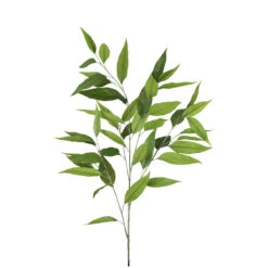 Fink Living Myrtenzweig