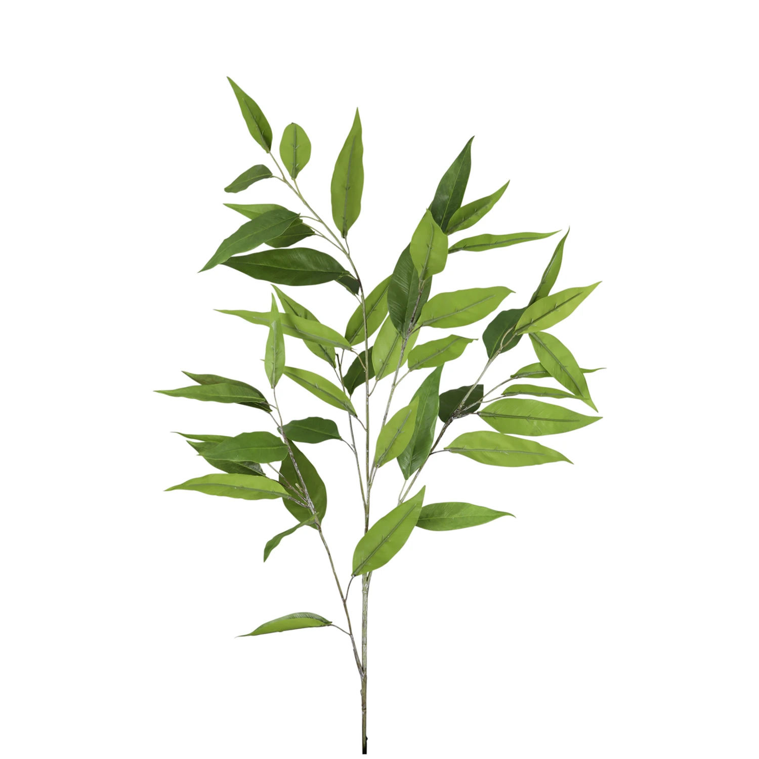 Fink Living Myrtenzweig 1 Fink Living Myrtenzweig