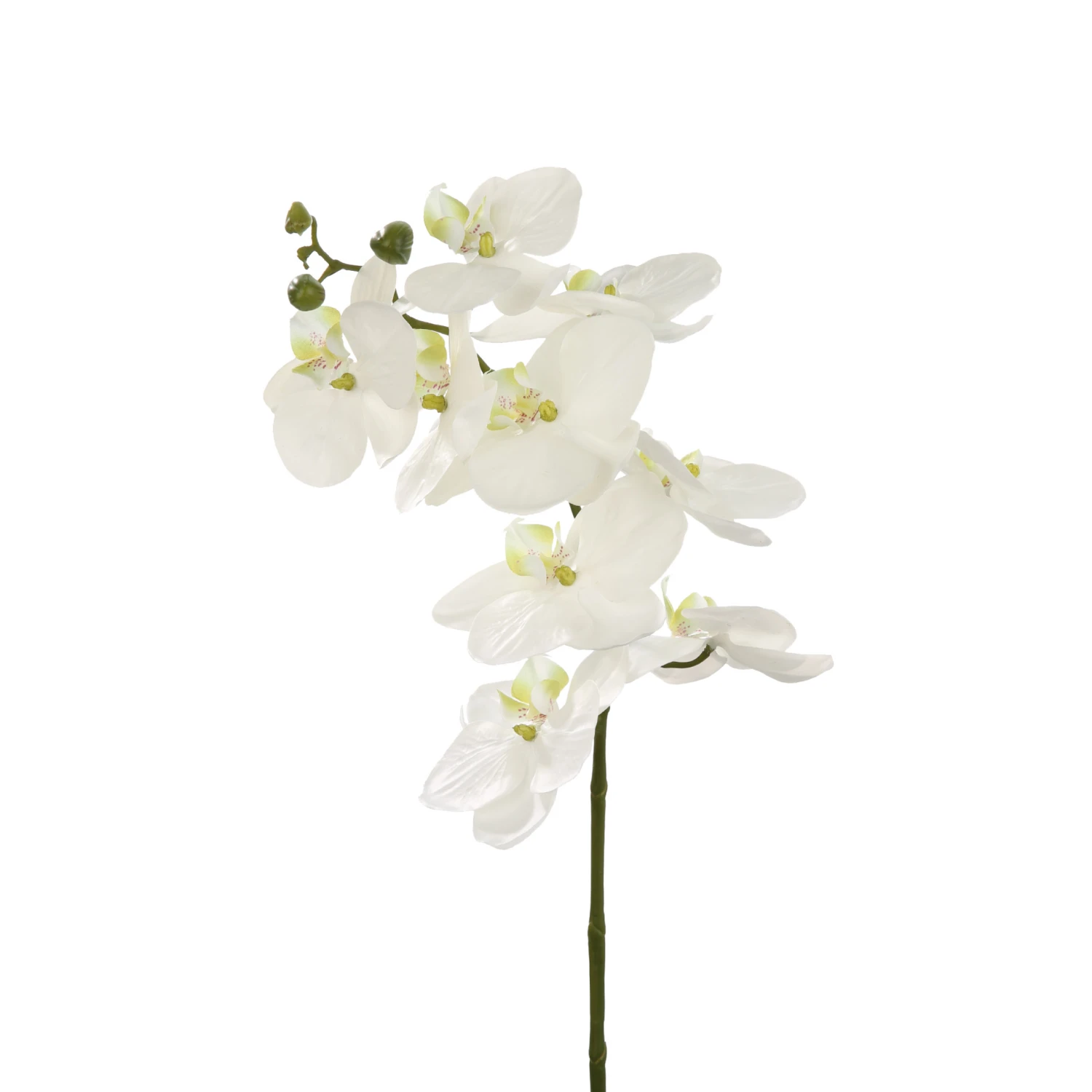 Fink Living Orchidee Soft Coat I 1 Fink Living Orchidee Soft Coat I