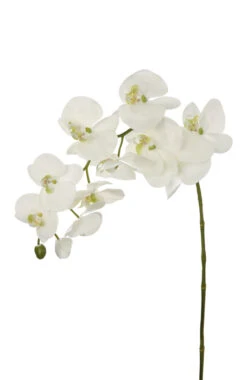 Fink Living Orchidee Soft Coat III