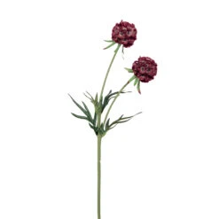Fink Living SCABIOSA Dunkelrot