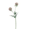 Fink Living SCABIOSA Rose